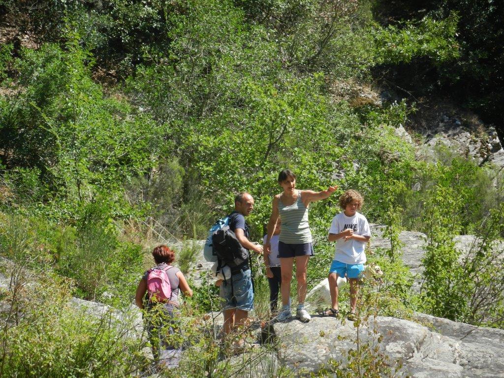 Agriturismo Podere Mulinaccio Ribolla Εξωτερικό φωτογραφία